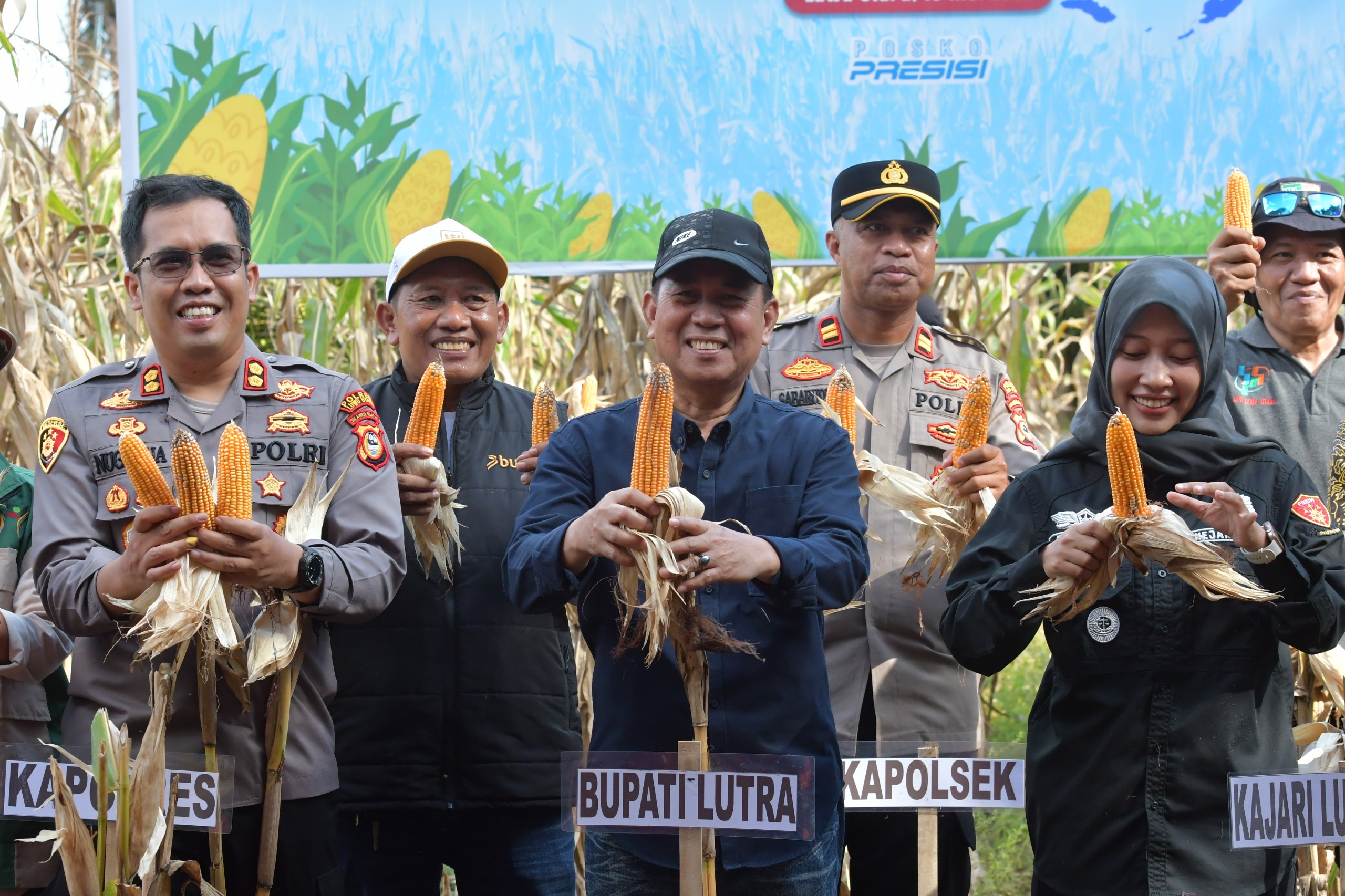 Pemkab Lutra Dan Polres Gelar Panen Raya Jagung Serentak Kuartal II
